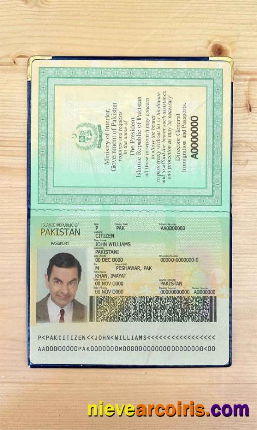 Pakistan passport photolook